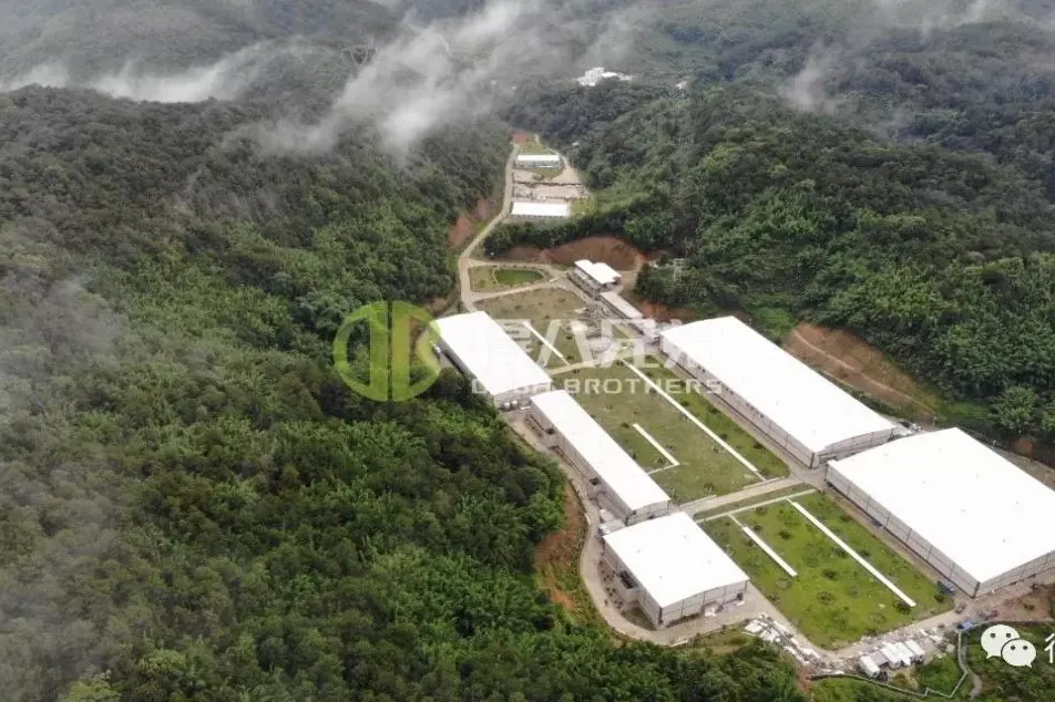 Μια αποκλειστική συνέντευξη με το âPIG FARM POWER NETWORKâ - Διευθύνων Σύμβουλος της Deba Brothers