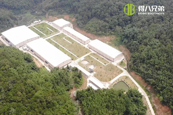ãΣύστημα υγρής σίτισηςãGuangdong Zhaoqing 20000 πάχυνση 10000 χοιροτροφείο απογαλακτισμού.