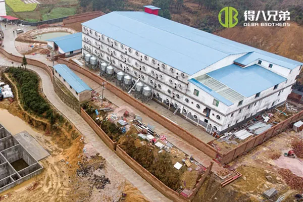 ãΠολυώροφο έργοãHunan Shaoyang Πολυώροφο 3600 αγρόκτημα χοιρομητέρων