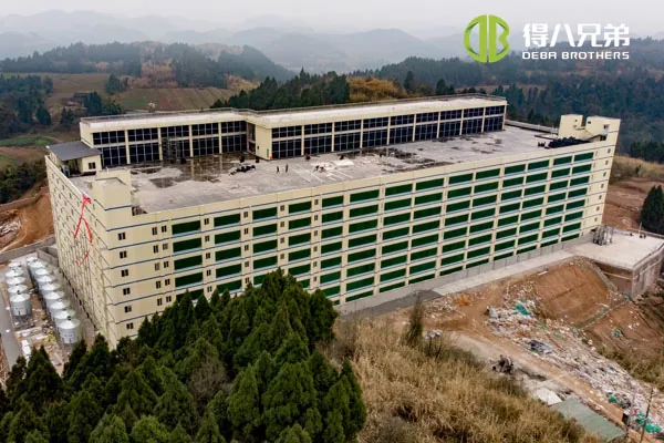 ãΠολυώροφο projectãSichuan Qiquan ομάδα 10000 χοιρομητέρες