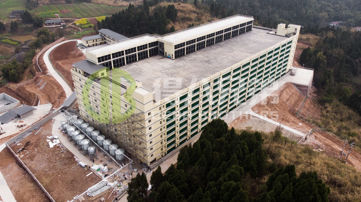 Πώς να βελτιώσετε την ποιότητα του περιβάλλοντος στο σύγχρονο σχεδιασμό της χοιροτροφίας